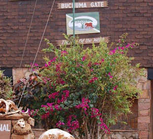 Am Eingang zum Nationalpark