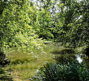 Spaziergang durch den Ahnepark