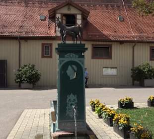 Haupt- und Landgestüt Marbach