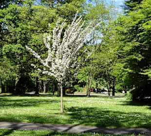 Impressionen aus den Wallanlagen