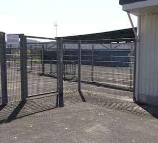 Stadion an der Kreuzeiche