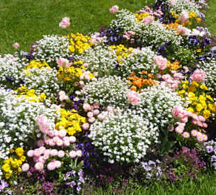 Hofgarten am Dachauer Schloss