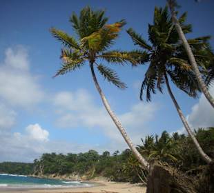 Weg zur blauen Lagune