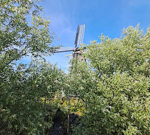 De Groenvelder in Schagen