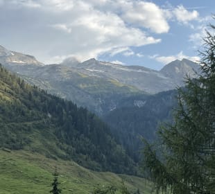 Ausblick