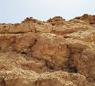 Quad Tour Marsa Alam