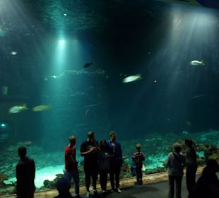 Tropenaquarium