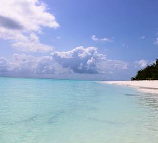 Vor der Insel Mnemba 