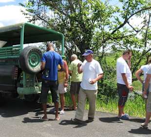 Jeepstopp zur Paradiesinsel