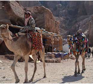 Mit der AIDA in Petra, Jordanien