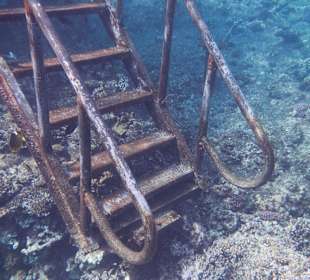 Treppe vom Steg ins Wasser