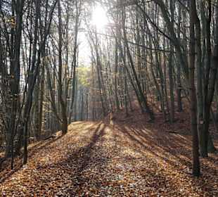 Tolle Herbstlandschaft