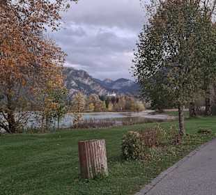 Forggensee