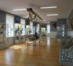 Muzeum Rybołówstwa Morskiego