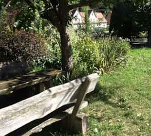 Klosterkirche Maria Gnadenzell