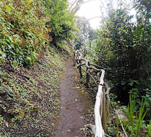 Palheiro Gardens