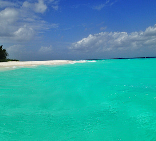 Paradiesich 