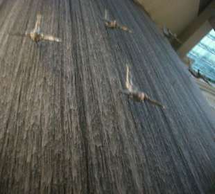 Wasserfall am Tage in der Mall