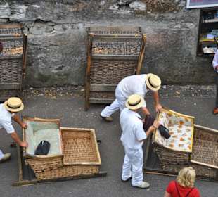 Originelle Gefährte