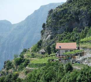 Ausblick auf den Weg