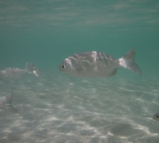 Unterwasser