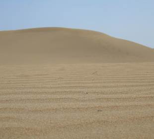 Dünen Maspalomas