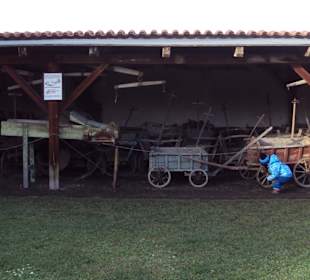 Skanzen a muzeum Moto a Vela