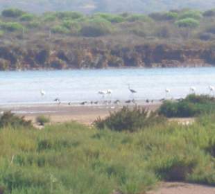 Souss River
