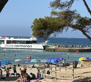Strand Paguera/Peguera 