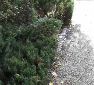 Kneippscher Kräutergarten