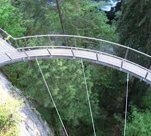 Capilano Suspension Bridge and Park
