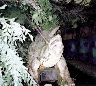 Ansichten aus dem Europapark in Rust