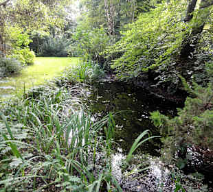 Spaziergang durch Thieles Garten