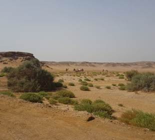 Impressionen auf dem Weg nach Hamata