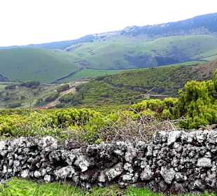 Inselrundfahrt Terceira