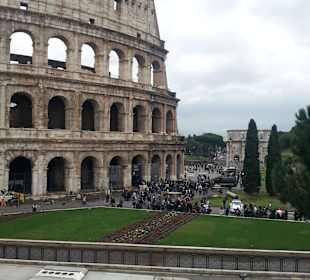 Koloseum 