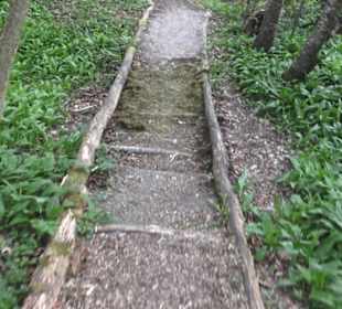 Barfußpfad Firstwald