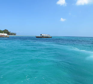 Die verschiedenen Tourboote