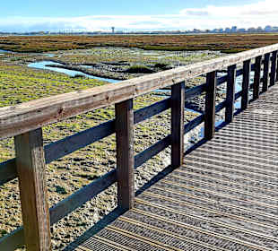 Der Weg ist das Ziel