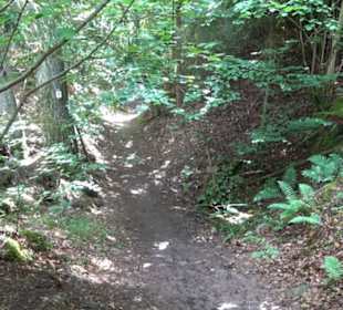 Wanderweg - Alter Steinbruch Pfaffenberg Runde