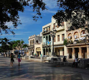 Prado