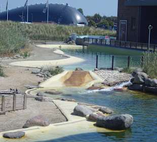 In der Seehundaufzuchtsstation!