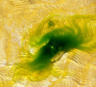 Hafeneinfahrt Bibione