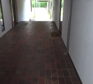 Pfarrkirche St. Martin