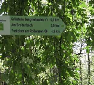 Wanderweg Hochgehwachsen