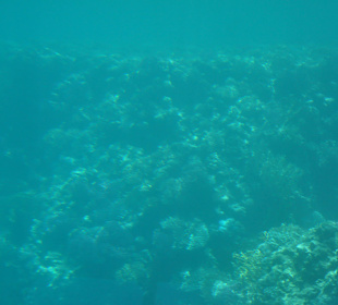 Submarine Sharm
