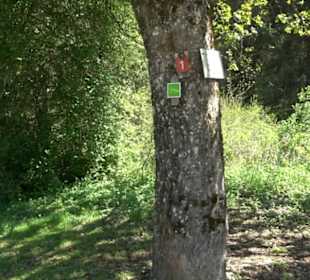 Premiumwanderweg Hochgehschätzt