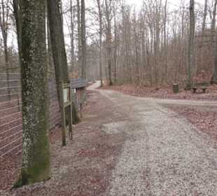 Wildpark Eichert
