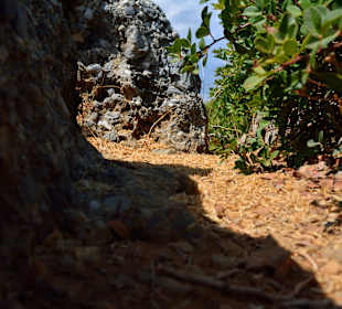 Ein paar Inspirationen von unserer Strandwanderung