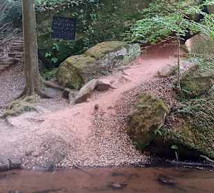 Radtour Tour de Süd in Krickenbach